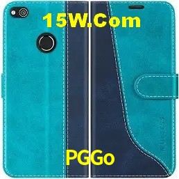 Design Responsivo PGGo